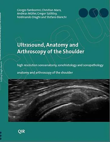 publication-2