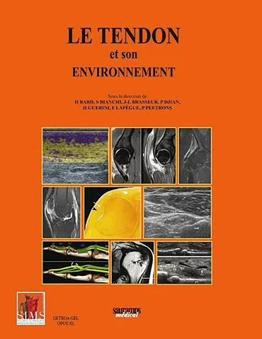 publication-6